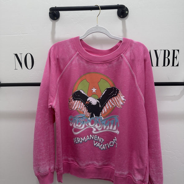 Aerosmith Sweatshirt